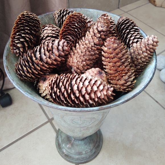 Other - Spruce Pine Cones Fall Holiday Decor
